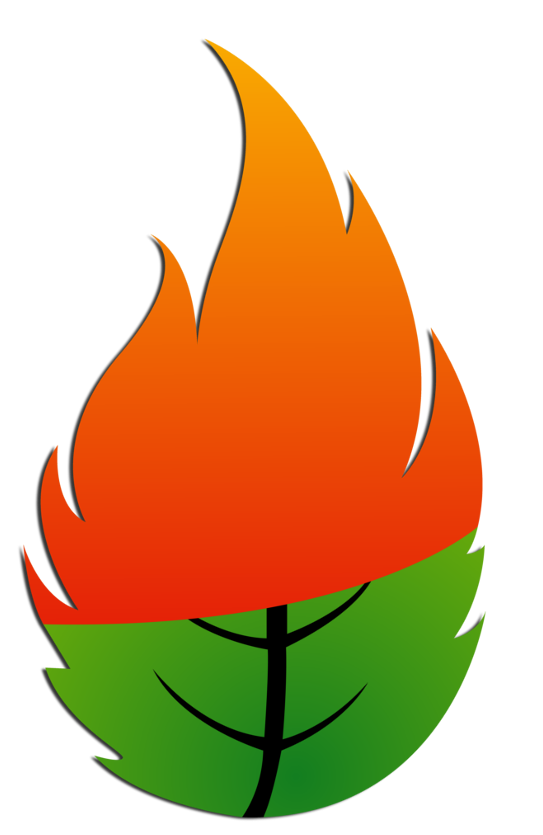 Sibannac Branding Leaf Left